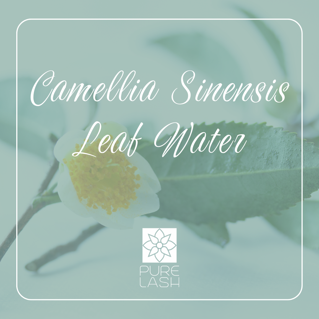 Camellia Sinensis Leaf Water - zöldtea kivonat