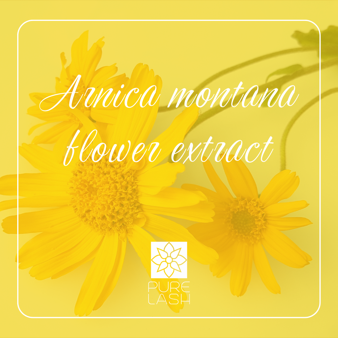 Arnica montana flower extract