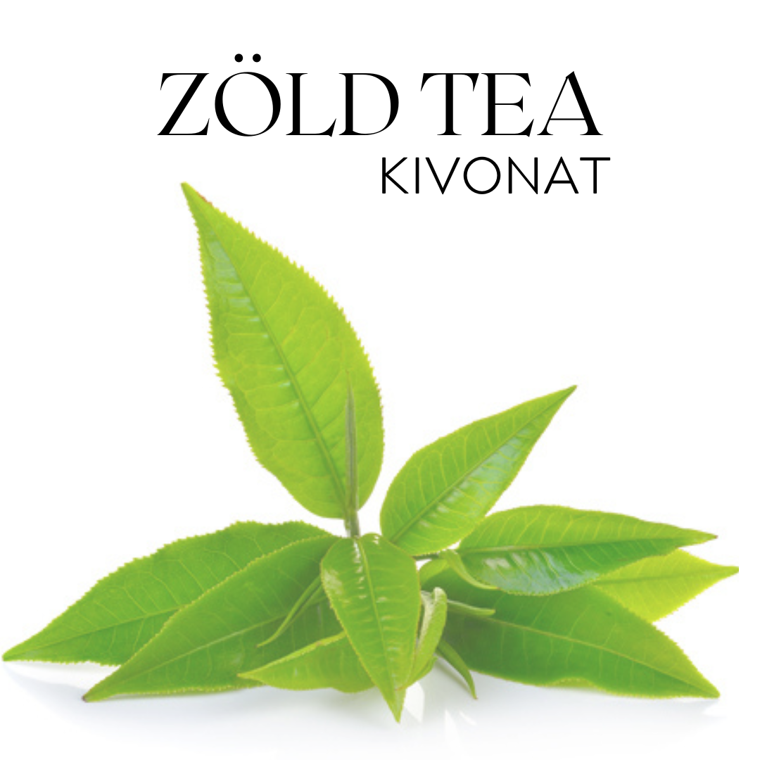 Zöld tea kivonat